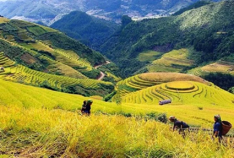 Half-Day Sapa Trekking Tour to Lao Chai & Ta Van